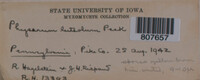 Image Associated With the Occurence